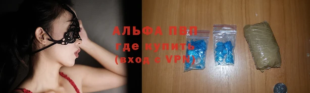 дмт Иннополис