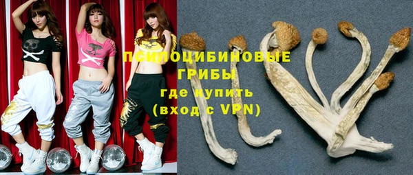 дмт Иннополис